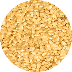 grain